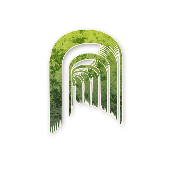 Файл:Tor.png