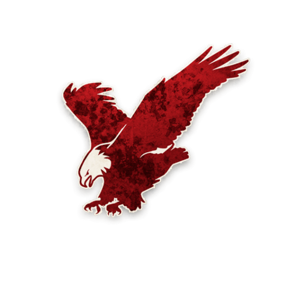 Файл:Lion eagle huadengchushang.png
